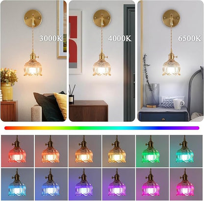 Vintage Battery Operated Wall Sconce Set of 2, Amber Glass Lampshade Wireless Rechargeable Battery Powered Wall Light, RGB Wall Sconce Fixtures for Bedroom, Living Room