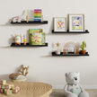 Dreamland Picture Ledge Shelf for Wall, Floating Shelves Set of 2, 24 Inch Long Floating Shelves with Lip for Living Room, Bedroom, Bathroom, Kitchen, Black