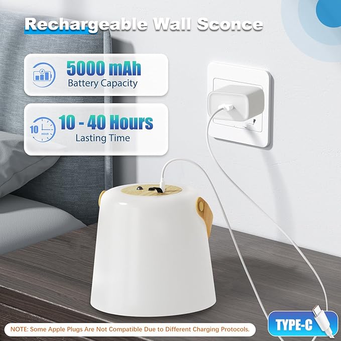 TACAHE Rechargeable Wall Sconce - Plastic Frosted Lampshade - 3 Color Temp & 5 Brightness - Remote Control - 5000 mAh Battery Operated - Cordless Wall Lamp for Camper, RV - Set of 2 (Wood Color)