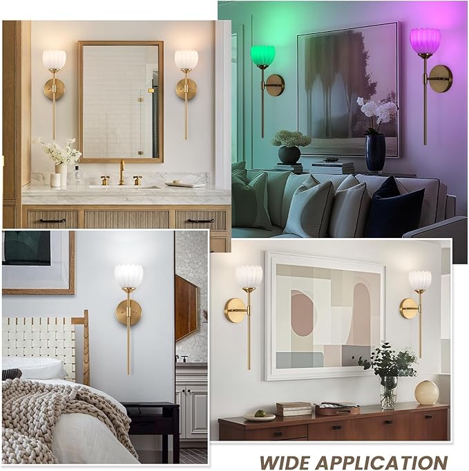 Vintage Battery Operated Wall Sconce Set of 2, Wall Lights with RGB Dimmable Bulbs and Remote,Rechargeable LED Wireless Wall Lamps for Living Room Hallway Bedroom