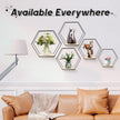 Wall Mounted Hexagonal Floating Shelves Black Set of 5 in Different Sizes, Modern Metal Shelf, Simple Wood Partition Storage Shelves, Decor Rack for Bedroom, Living Room, Kitchen and Office