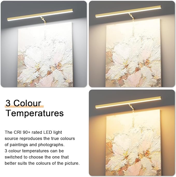 24" Plug in Picture Light for Paintings with Remote Control, 9W LED Art Display Lighting for Gallery, Dartboard, Artwork, Gold Finish Wall Mounted Picture Frame Light