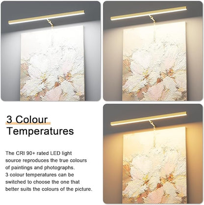 24" Plug in Picture Light for Paintings with Remote Control, 9W LED Art Display Lighting for Gallery, Dartboard, Artwork, Gold Finish Wall Mounted Picture Frame Light