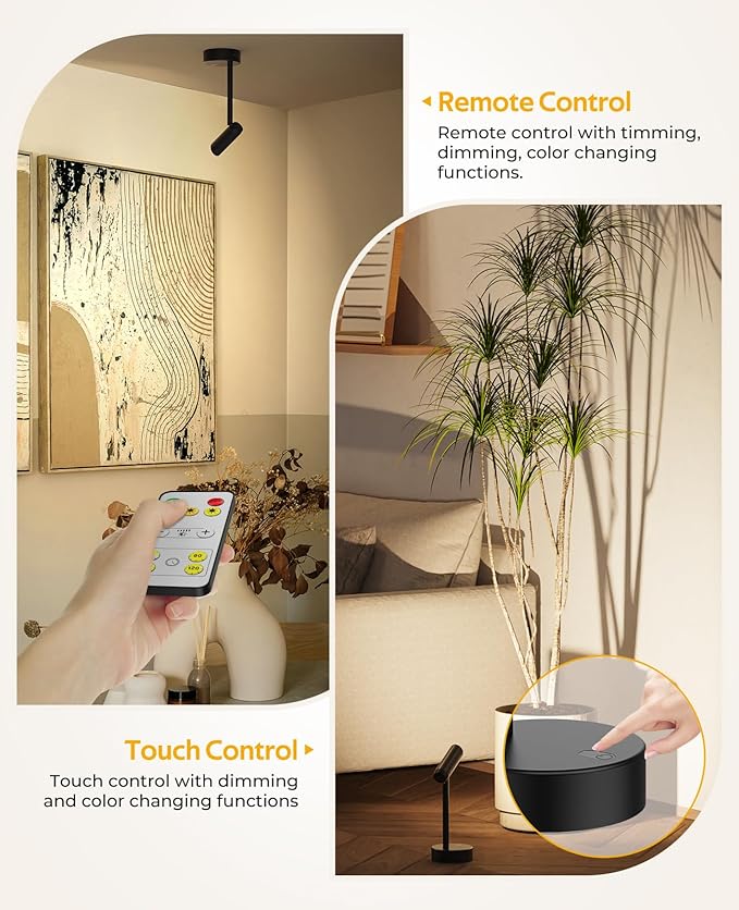 Picture Light for Wall, Battery Operated Art Light for Paintings CCT Dimmable Recharging Gallery Battery Wall Light with Remote Control for Living Room Gallery Dartboard Art Bathroom 2PCS