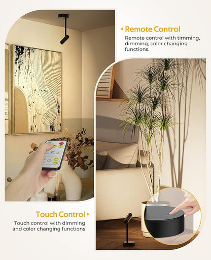 Picture Light for Wall, Battery Operated Art Light for Paintings CCT Dimmable Recharging Gallery Battery Wall Light with Remote Control for Living Room Gallery Dartboard Art Bathroom 2PCS