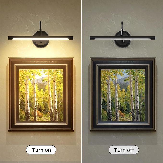 JOOSENLUX Picture Lights for Paintings Hardwired 16.5