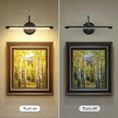 JOOSENLUX Picture Lights for Paintings Hardwired 16.5