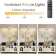 Tipace Hard-Wired LED Picture Light Fixtures,3CCT Dimmable Metal Artwork Display Lamp with Remote Control,Gold Modern Gallery Lights Wall Lights for Picture Display