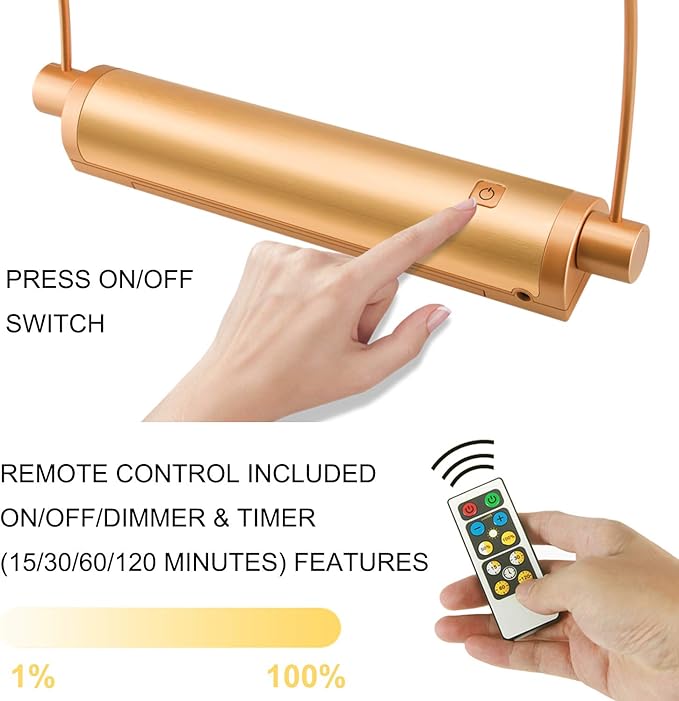 HONWELL Picture Light - Cordless Display Lights with Battery Powered LED, Remote Control, Timer Dimmer, Swivel Lamp Head for Artwork Lighting