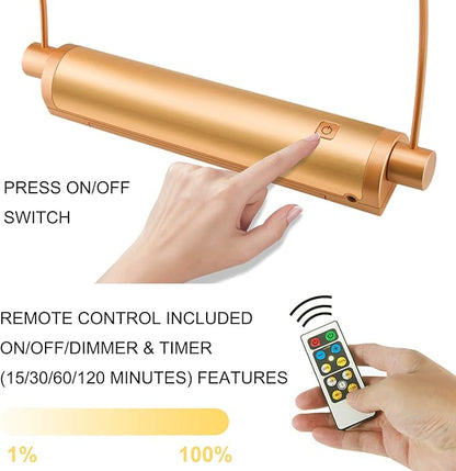 HONWELL Picture Light - Cordless Display Lights with Battery Powered LED, Remote Control, Timer Dimmer, Swivel Lamp Head for Artwork Lighting