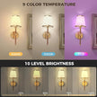 DORESshop Battery Operated Wall Sconce Set of 2, Wireless Wall Light Easy to Install, 7 Color Rechargeable Wall Sconces, Sconce Wall Decor Set of 2 for Bedroom, Living Room, Gold and Leather, 18.7in
