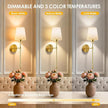 OCATO Battery Operated Wall Sconce: 10000mAh Wireless Wall Sconces Set of Two Rechargeable Lamp Dimmable Magnetic Lights with 7 RGB Colors and Remote Walls Decor for Bedroom Living Room Hallway