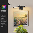 Black Picture Lights for Paintings Hardwired LED Wall Art Lighting 15.75