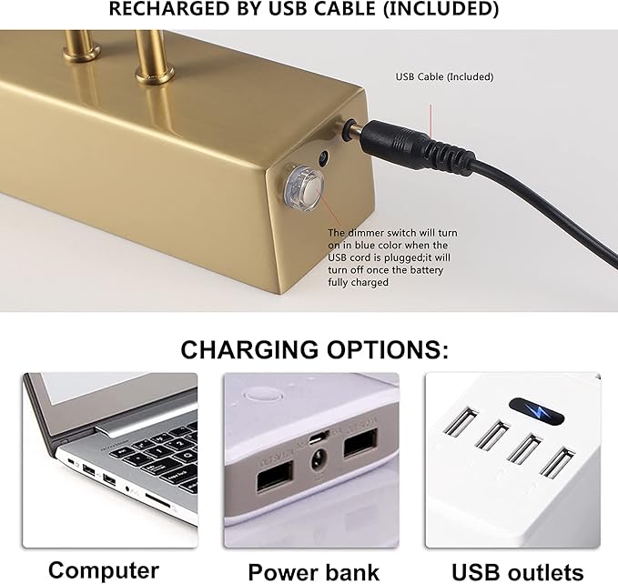 Picture Light,16inches Rechargeable Wireless Picture Light,Dimmable Led Artwork Lighting,Wall Lights for Paintings,Canvas,Gallery, Portrait (Brass)