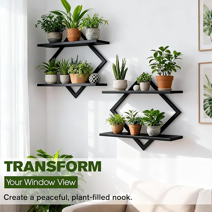 Set of 2 Wall Plant Holder Wall Planters for Indoor Plants Window Plant Shelves Plant Stand Indoor Floating Wall Shelves for Plant Hanger Indoor for Plants, Books, Photos wall Decor (Black)