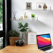 Wall Mount Acrylic Shelf 15 Inch Floating Shelf for Wall Decor Plants Books Records Heavy Duty Clear Display Shelf Bathroom Bedroom Living Room Storage Organization (6, Clear)