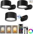 Picture Lights for Wall, 2000mAh Rechargeable Magnetic Art Lights with 3 Color Temps & RGB, Remote Dimmable Battery Operated Wall Light for Bedroom, Living Room, Gallery (Black, 3 Pack)