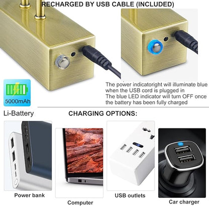 FUNCHDAY Picture Light Wireless, 13" Rechargeable Battery Operated Picture Lights with Remote Timer, 280LM Dimmable Gallery Light, Cordless Art Lighting for Paintings,Wall (Antique Brass)