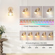 Vintage Battery Operated Wall Sconce with Amber Tulip Glass Lampshade 5000 mAh Rechargeable Battery Powered Wall Light with Remote Control for Bedside Bedroom Doorway, Set of 2