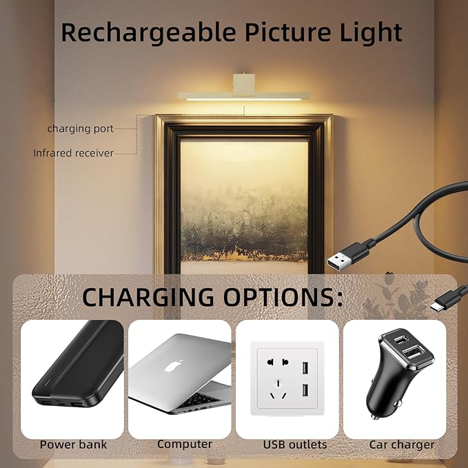 Picture Lights for Wall,Battery Operated Art Light,12in Gallery Light for Paintings,3CCT Dimmable,Metal Finish Recharging Battery Wall Light with Remote Control for Pictures Display(Gold)