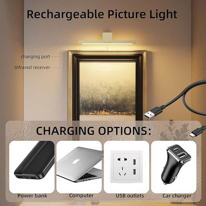 Picture Lights for Wall,Battery Operated Art Light,12in Gallery Light for Paintings,3CCT Dimmable,Metal Finish Recharging Battery Wall Light with Remote Control for Pictures Display(Gold)