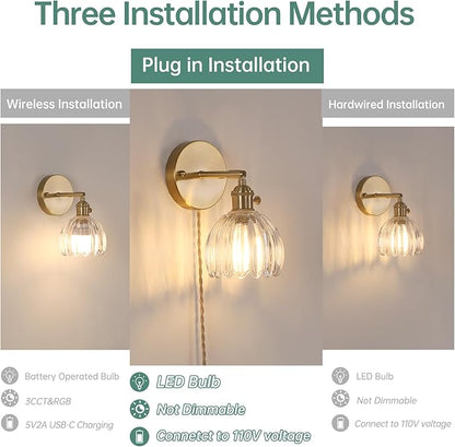 Plug in Wall Sconce, Transparent Tulip Glass Lampshade Wall Light Plugin Corded for Bedside Bedroom Doorway, 2 Pack
