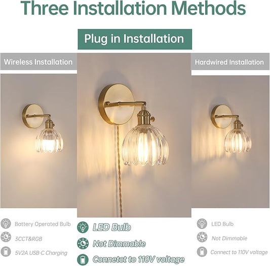 Plug in Wall Sconce, Transparent Tulip Glass Lampshade Wall Light Plugin Corded for Bedside Bedroom Doorway, 2 Pack