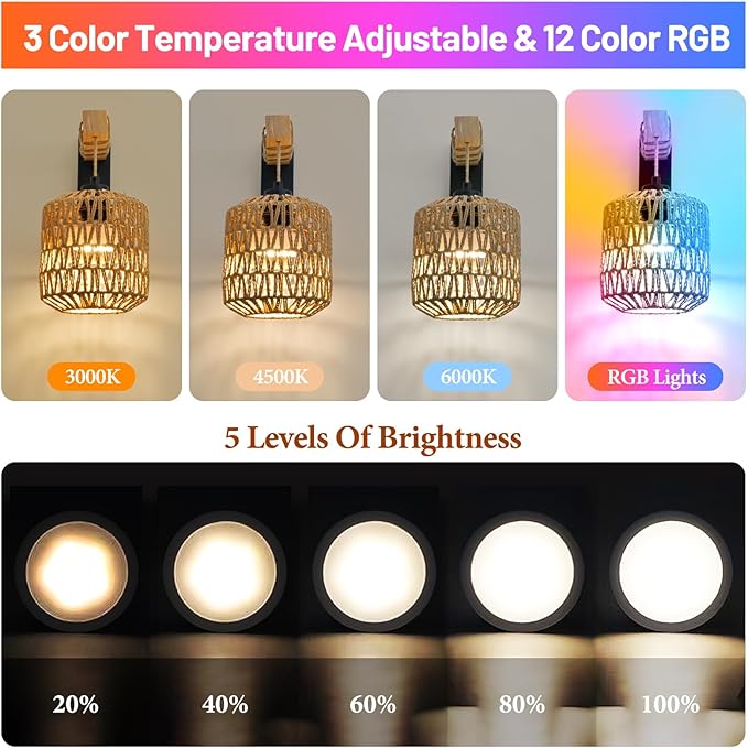 Battery Operated Wall Sconce Set of Two, Rattan Wall Sconces with Remote RGB 15 Colors Dimmable, Farmhouse Boho Wall Lights for Bedroom Living Room Entryway
