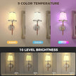 DORESshop Battery Operated Wall Sconce Set of 2, Wireless Wall Light Easy to Install, 7 Color Rechargeable Wall Sconces, Sconce Wall Decor Set of 2 for Bedroom, Living Room, Chrome and Leather, 18.7in
