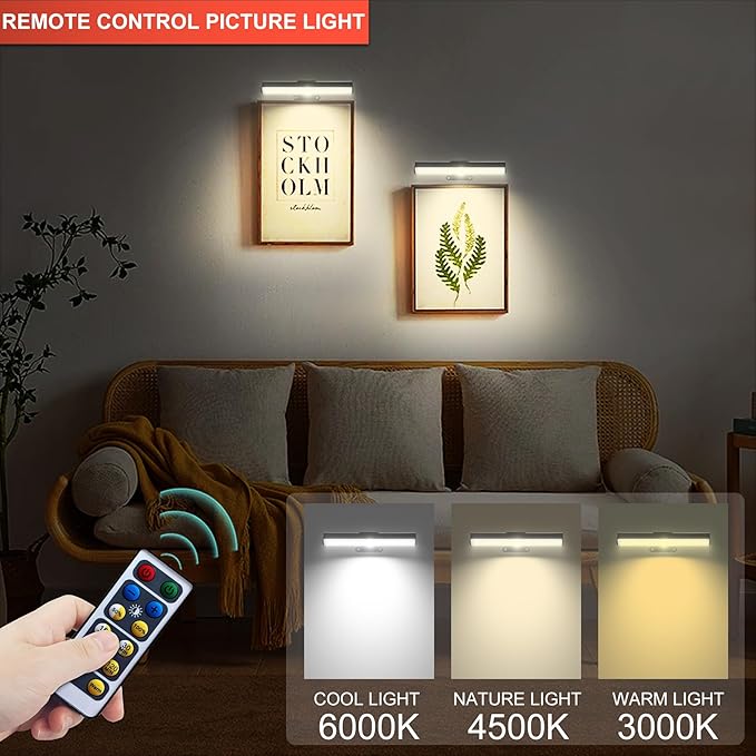 2 PACK Picture Light for Painting Battery with Remote on Wall in Bedroom Living Room, 3Lighting for Wall Art Pictures Posters,Dimmable Timer Set Display Accent Light for Frame Dart Gallery Portrait