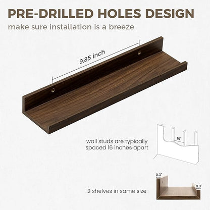 Axeman Floating Shelves | Picture Ledge Shelf Set of 2 | Walnut Wall Shelves with Lip | Walnut Picture Shelf for Wall with Ledge | Photo Ledges 16 Inch