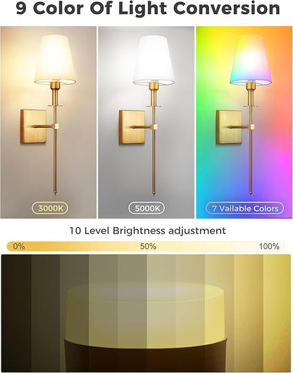 DORESshop Battery Operated Wall Sconce Set of 2, Gold Rechargeable Wall Lights Remote, Sconce Wall Decor Set of 2, 7 Colors Wireless Sconces for Bedroom Living Room Hallway
