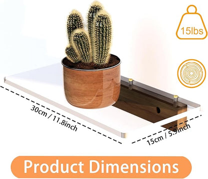 Small Acrylic Floating Shelf for Wall, Clear Acrylic Wall Shelf with Solid Wood Base, Thick Minimalist Display Shelf for Bathroom, Bedroom,Plants, Perfume, Nail Polish,Living Room & Decor