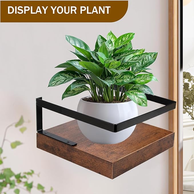 ARTORA Wall Mounted Plant Holder, Wooden Floating Shelf with Invisible Bracket Wall Mount Wood Rack Small Decorative Display Shelves with Gaurdrail for Bedroom Living Room Bathroom (Brown, 1 Pack)