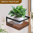 ARTORA Wall Mounted Plant Holder, Wooden Floating Shelf with Invisible Bracket Wall Mount Wood Rack Small Decorative Display Shelves with Gaurdrail for Bedroom Living Room Bathroom (Brown, 1 Pack)