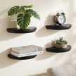 4 Pcs Solid Wood Half Round Floating Wall Shelves, Elegant Floating Wooden Shelves, 8.27 Inch Wall Shelf for Living Room, Bathroom, Bedroom, Offices, Pictures Plant Book (Black)