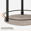 Spice Rack, Set of 2 Lazy Susan Organizer, 3-Tier Turntable Organizer, Rotating Spice Rack Organizer For Cabinet, Compact and Versatile, Greige and Black SR23L2BG