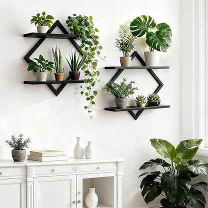 Set of 2 Wall Plant Holder Wall Planters for Indoor Plants Window Plant Shelves Plant Stand Indoor Floating Wall Shelves for Plant Hanger Indoor for Plants, Books, Photos wall Decor (Black)