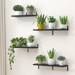 Marsmiles Extra Wide Floating Shelves for Wall, 48x8 Inch Natural Wood Grain Bookshelves, Heavy Duty Mounted Shelving for Bathroom, Kitchen, Living Room, Bedroom,Set of 2，Black