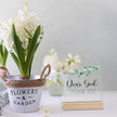 Farmhouse Decor, Acrylic Christian God Home Decorations, Aesthetic Entry Way Table Shelf Decor, Living Room Table Accessories, Boho Office Decorations For Work (04)