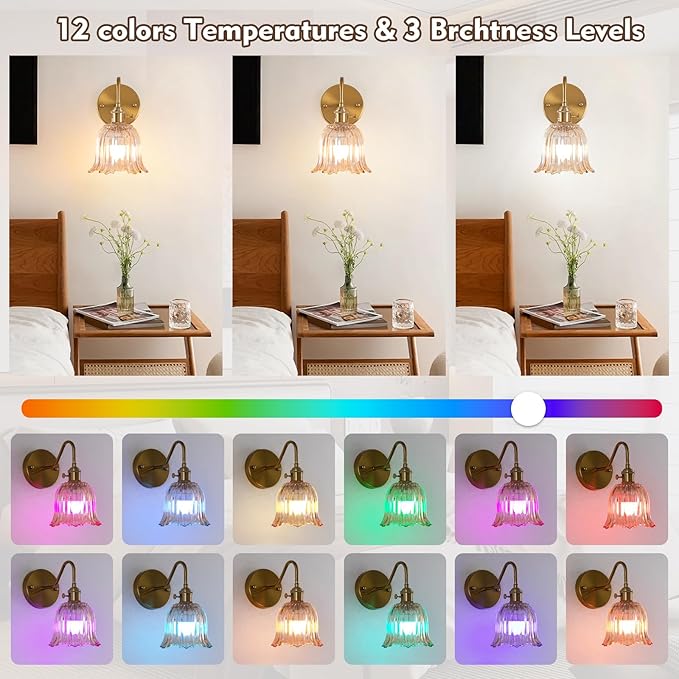 Battery Operated Wall Sconce Set of 2, Rechargeable Battery Powered Amber Wall Lights with 15 Colors, Vintage Glass Wall Lamp with Remote Control for Beside, Bedroom, Living Room