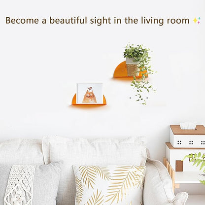 Lesnala 2Pcs Small Acrylic Shelves Floating Shelves for Wall Orange Wall Mounted Display Shelf with Stickers and Screws for Bathroom Bedroom Living Room Office Decor,7.9 Inch