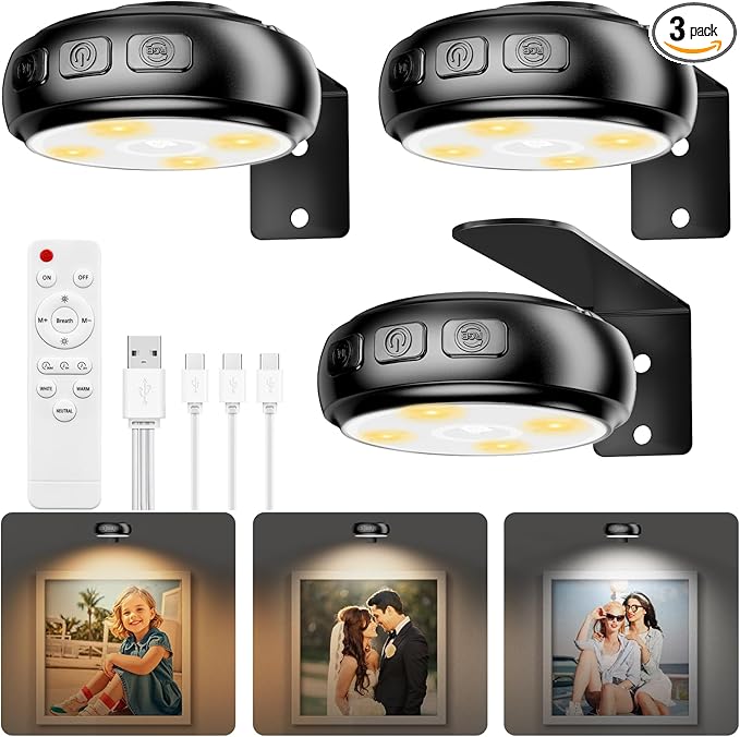 3 Pack Picture Light for Wall with 1200mAh Rechargeable Battery Operated Lights Remote Dimmable Timer Painting Light Magnetic 3 Adjustable Lighting RGB Modes Wall Decor Lights for Living Room (Black)