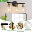 3-Light Bathroom Light Fixtures, Black and Gold Bathroom Wall Lights, Modern Vanity Light with Clear Glass Shade, Bathroom Wall Lamp for Mirror Kitchen Bedroom Hallway Cabinet