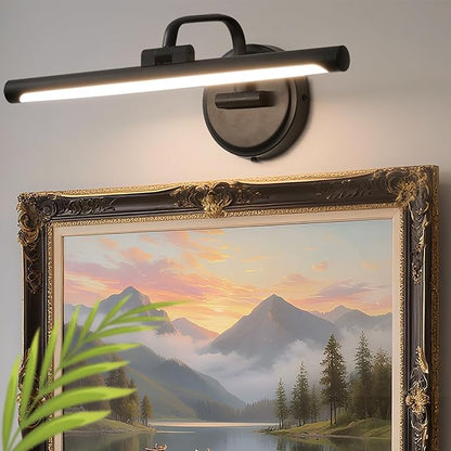 Hardwired Picture Light for Wall, 16 Inch Modern Brass Dimmable Frame Light with Adjustable Swing Arm, 3CCT LED Art Display Light for Paintings,120 Volts Gallery Wall Light, Hallway Vanity Light, 6W