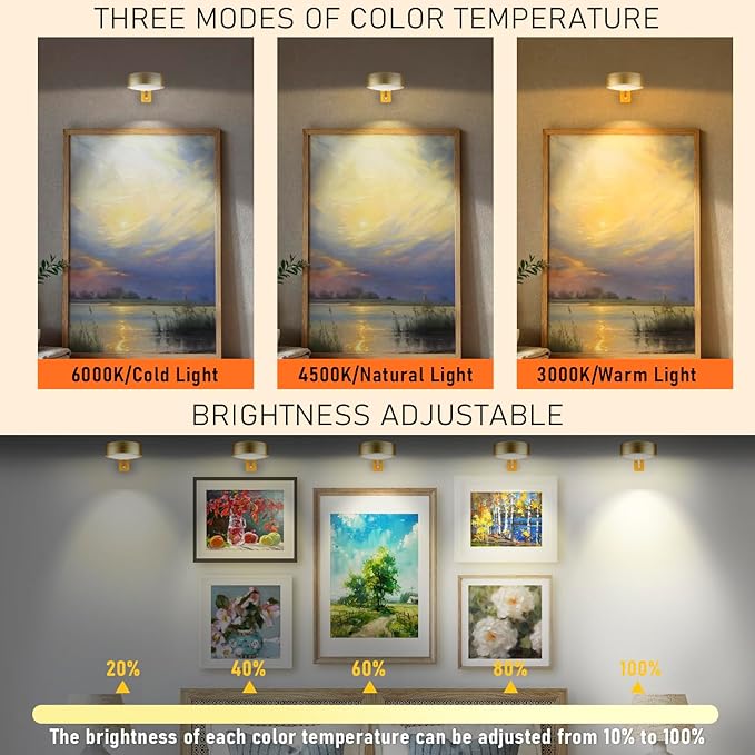 2 Pack Gold Battery Operated Picture Light, Wireless Picture Lights for Wall with Remote Dimmable Timer, Lighting Modes Pictures Frame Lights for Artworking, Magnetic Painting Light Wall Decor