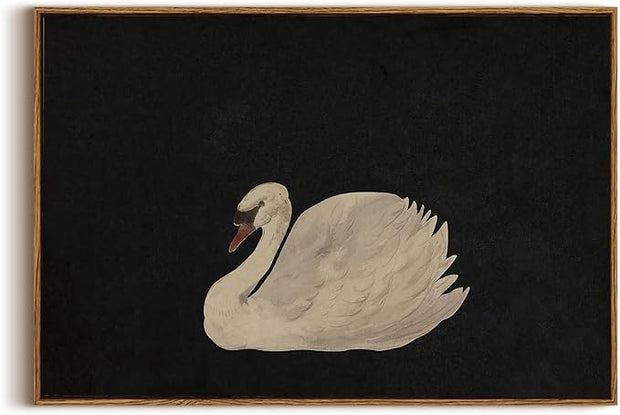 OIQArtOIQ Vintage Framed Wall Art Moody Grace Swan Canvas Art Prints Rustic Farmhouse Pictures Wall Decor Modern Cottagecore Paintings Artwork For Bedroom Kitchen Bathroom Office Living Room