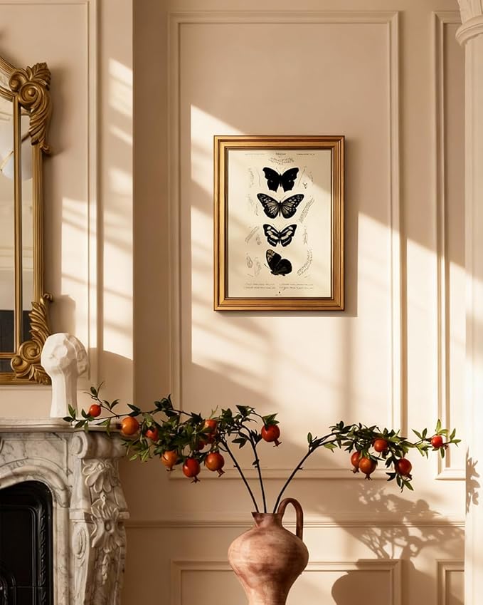 VIYYIEA Gold Framed Art Prints,12x16Inch, Butterfly Entomology Vintage Art Painting, Classical Scientific Decor for Library Bathroom Study Room Shelf, Rustic Farmhouse Canvas Picture