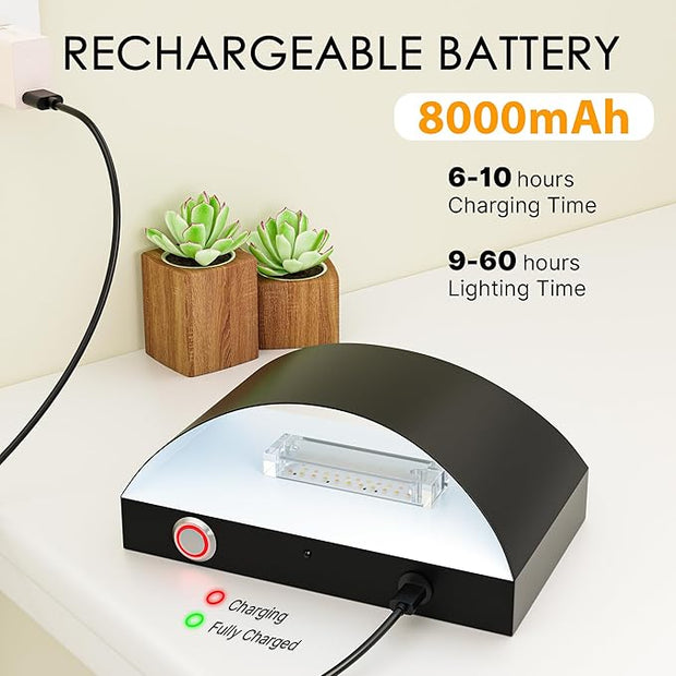 FOLKSMATE Battery Operated Wall Sconces Set of 2, 8000mAh Rechargeable Wall Lamps, 3 Color Temperatures, Timer Dimmable Light for Bedroom, Living Room, Hallway