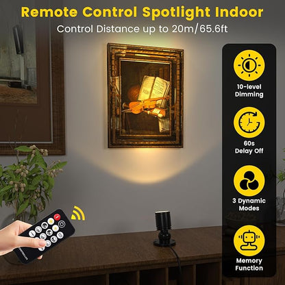 Mini LED Spotlight with Remote Control, Dimmable Small Spot Lights Indoor Plug in, Wired Spotlights for Displays Art Model Plant Picture (Warm White-2 Lights in 1 Plug)